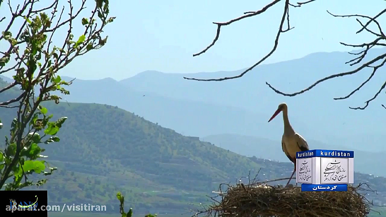ویزیت ایران  درياچه زريبار مري...