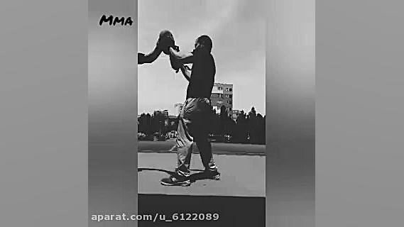 حمید رضا مقیمی mma fighter