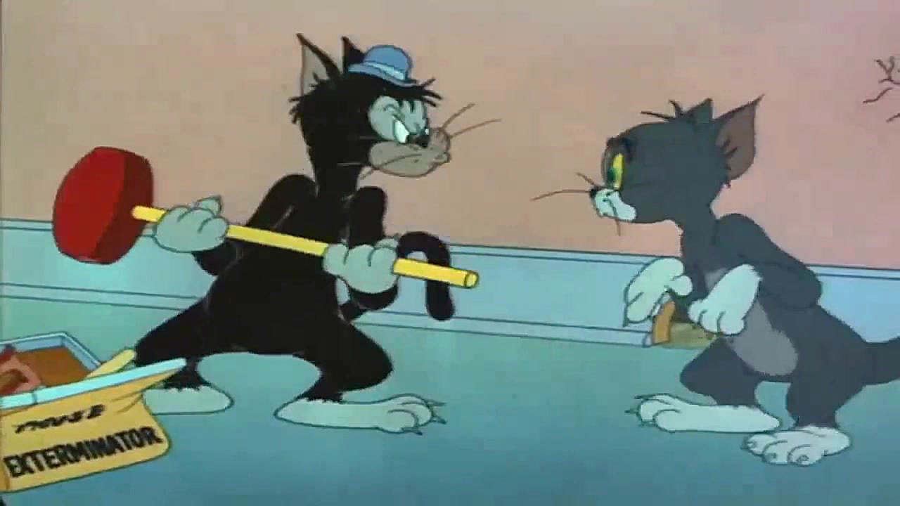 کارتونی جدید موش و گربه