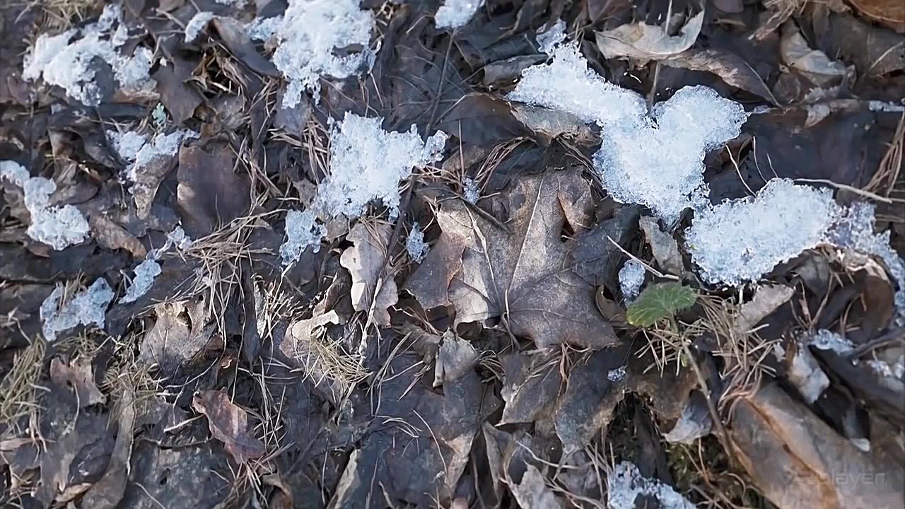 رونمایی از پلی استیشن PS5 Play...