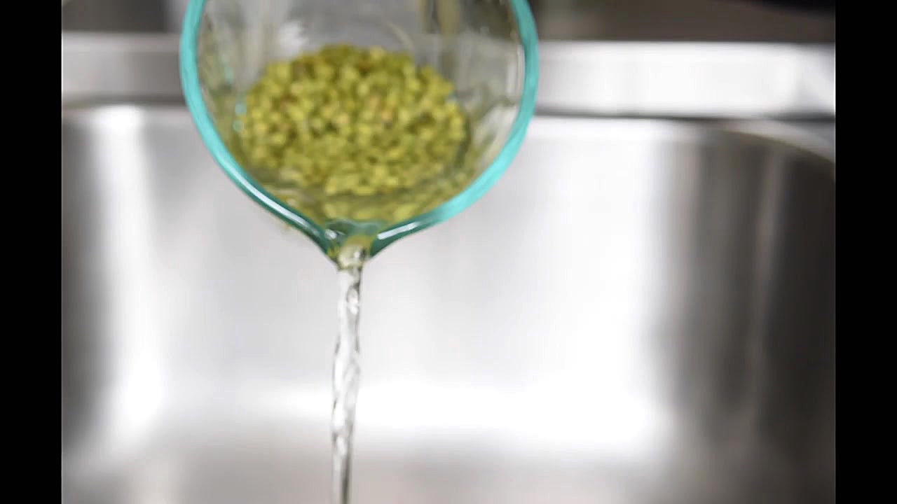 جوانه ماش خانگیMung Bean Sprou...