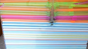 Especial: "Semana de la B...