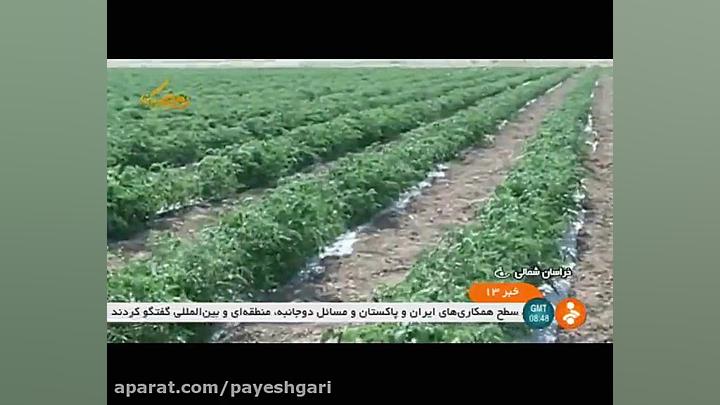 ابلاغ شرایط جدید صادرات محصولا...