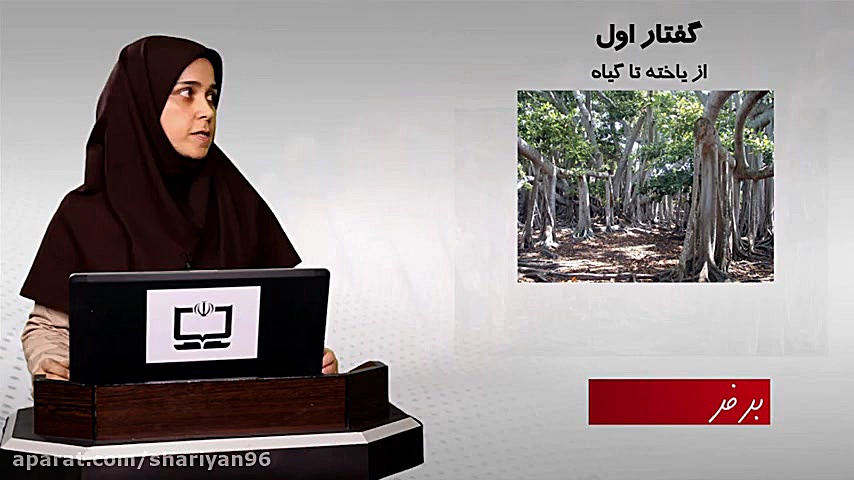 از یاخته تا گیاه