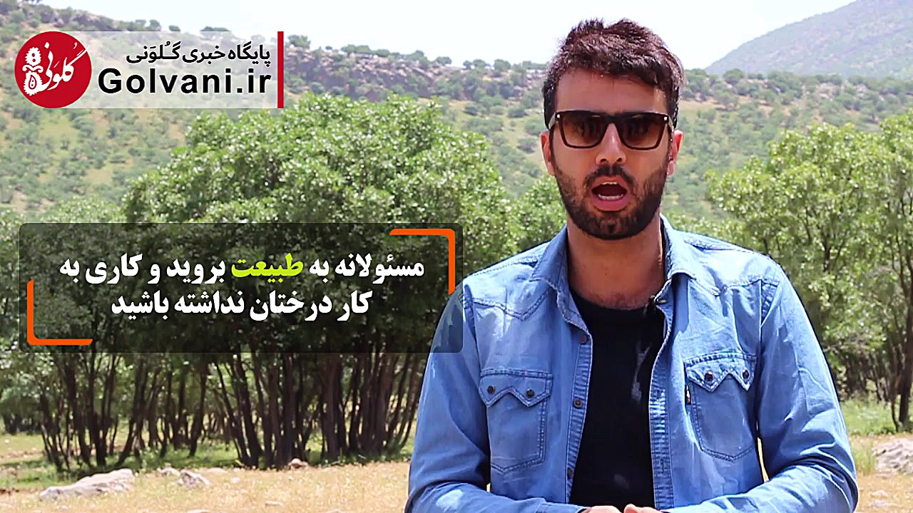 فواید درخت بلوط برای بدن انسان