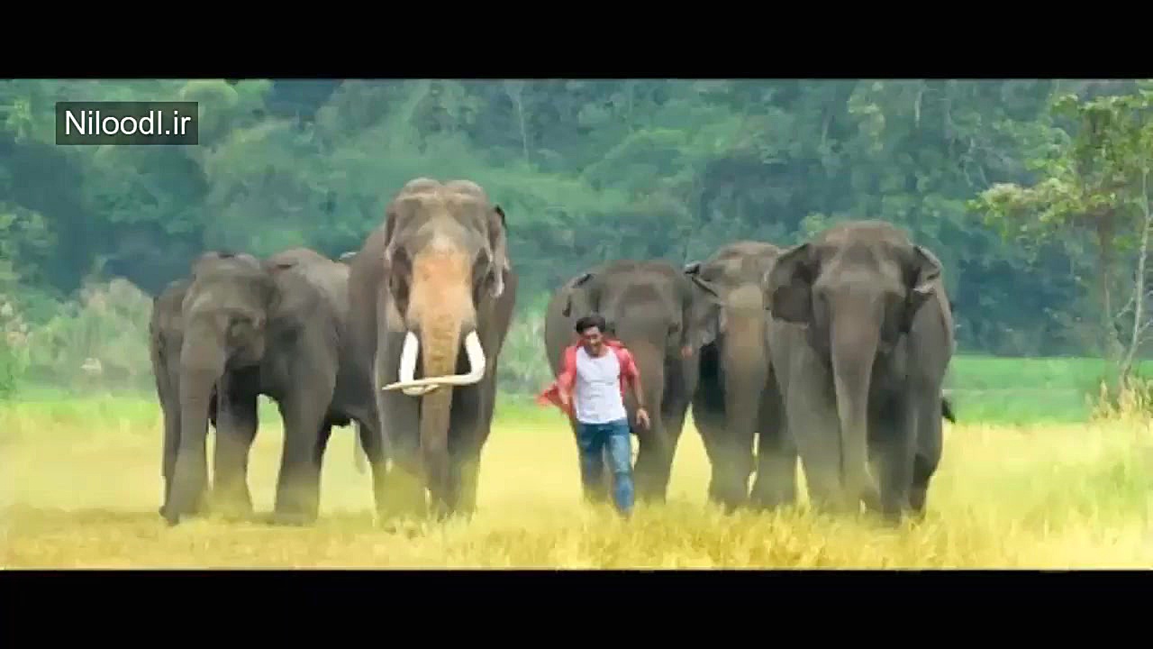 دانلود فیلم Junglee 2019 با کی...