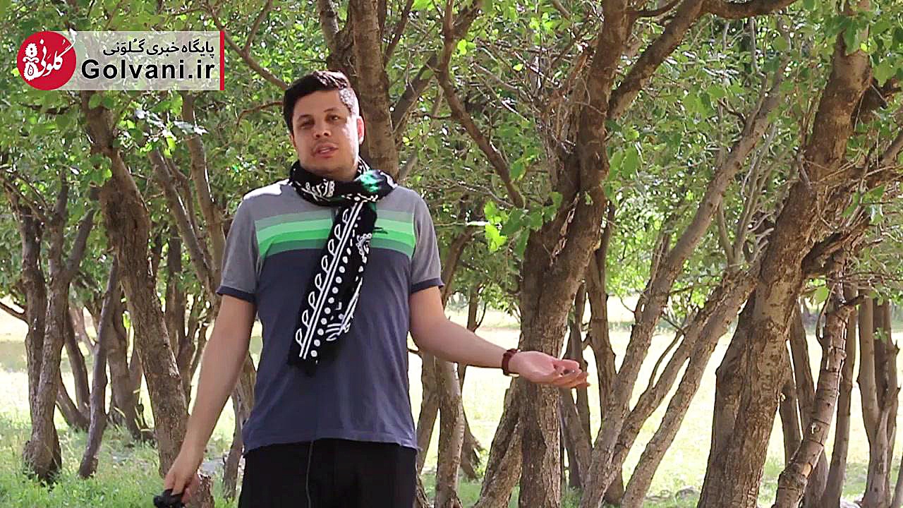 روش&zwnj;&zwnj;های نوین خلاص ش...