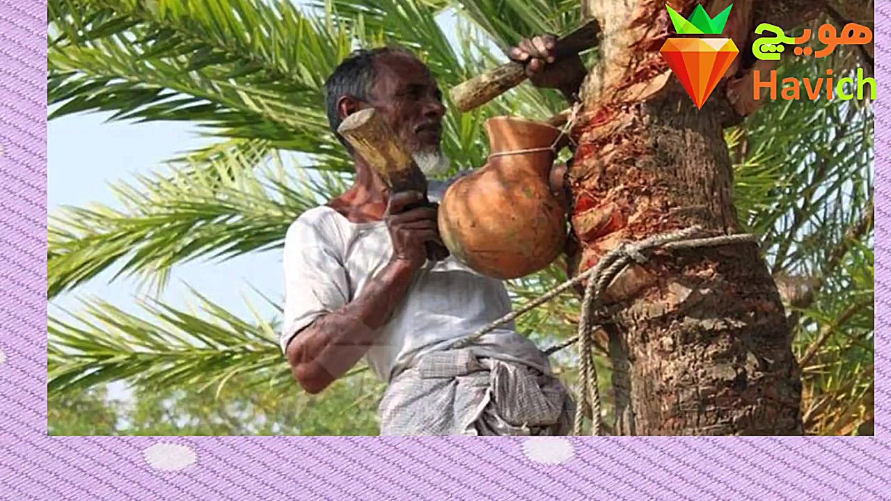 با عجیب ترین و ترسناک ترین میو...