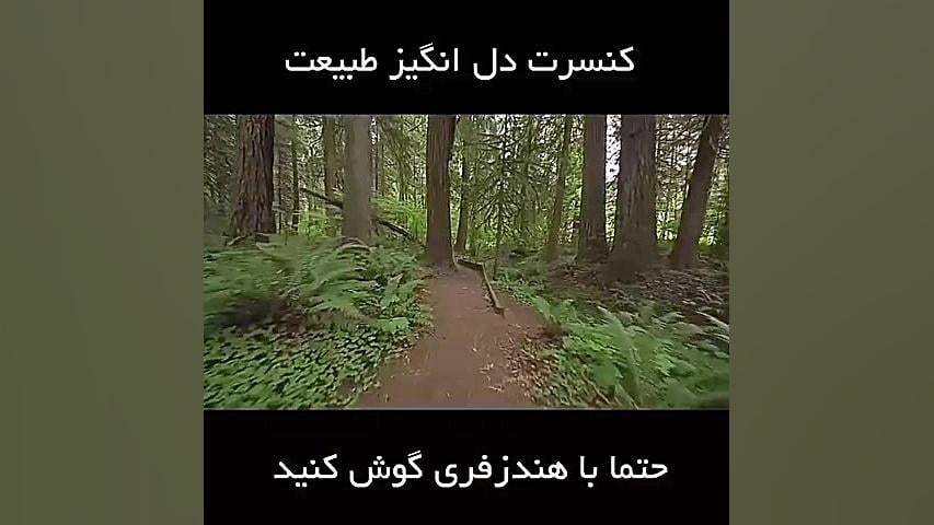 طبیعت و صدای دل انگیز طبیعت