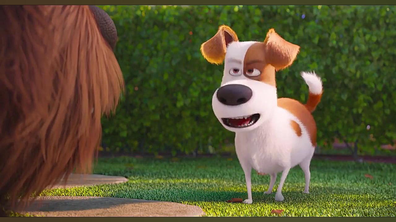 انیمیشن زندگی پنهان حیوانات Secret Life of Pets با دوبله فارسی زمان5187ثانیه