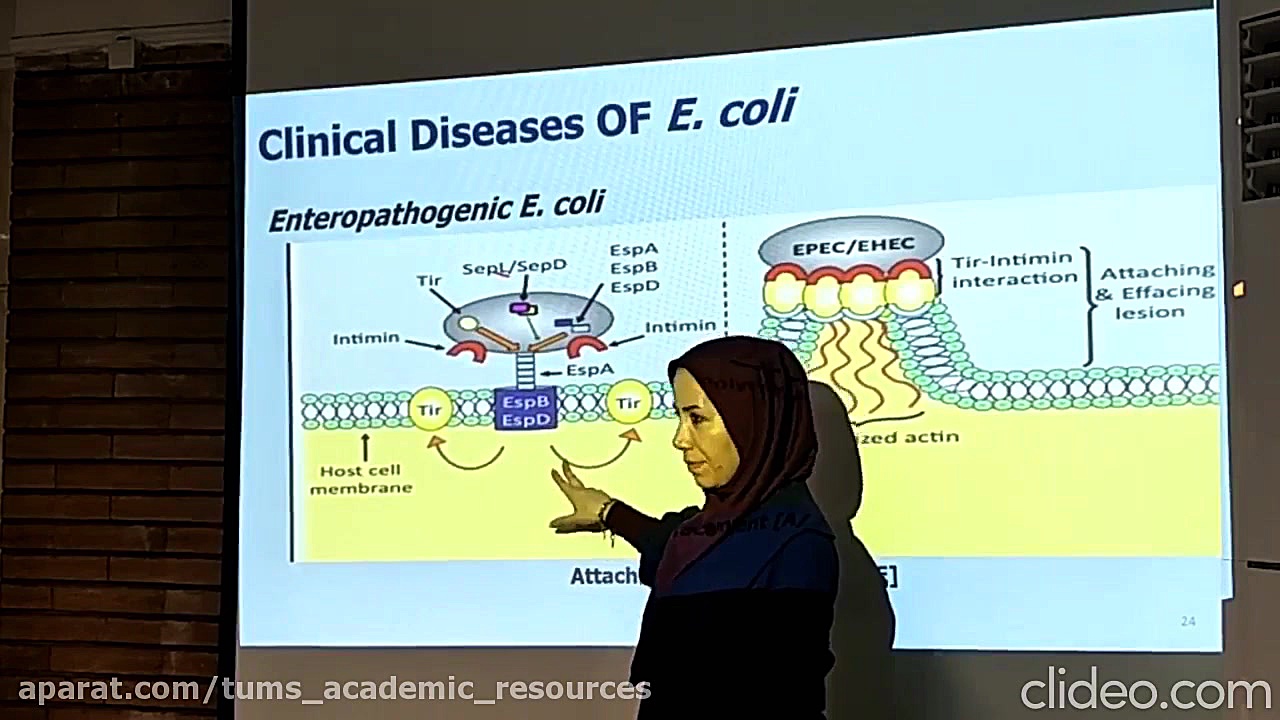 Microbiology Lecture 18
