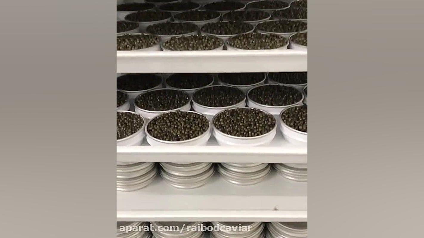نمایندگی خرید خاویار در شیراز...