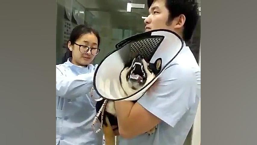 وقتی میگن آمپول درد نداره این...