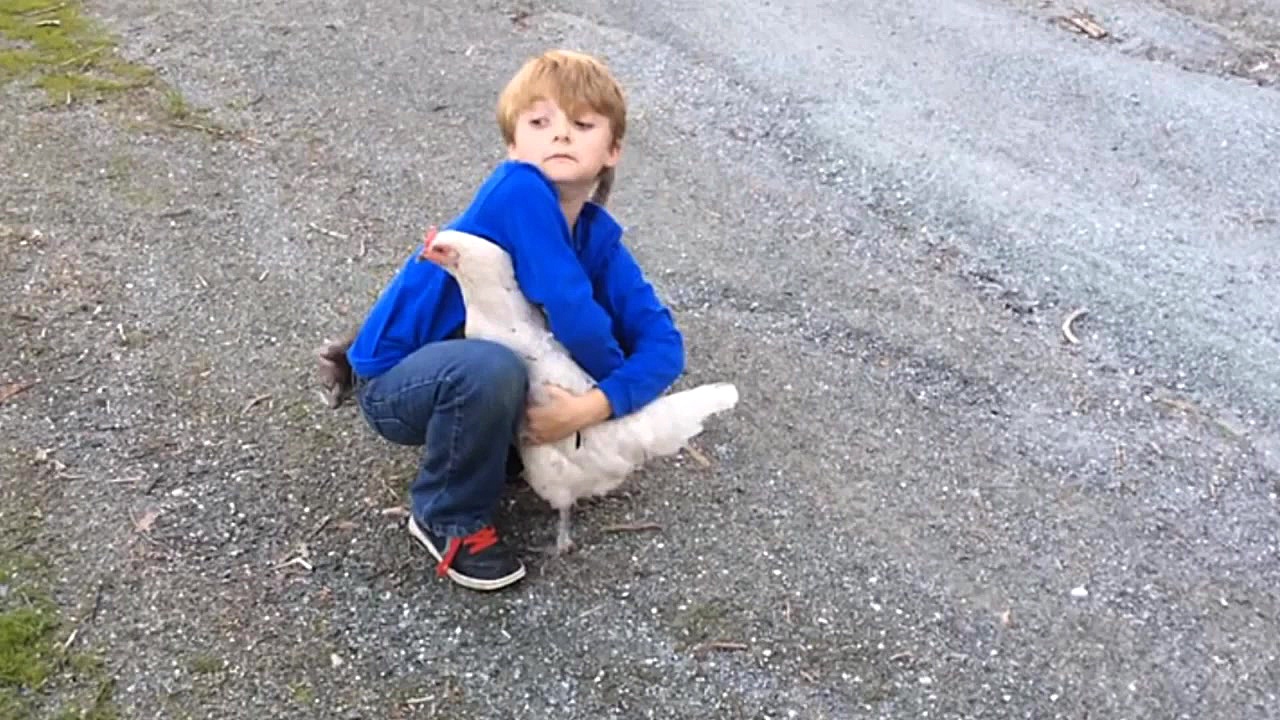 دوستی شگفت انگیز بین انسان و ح...