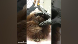 خانم ها دیگر نگران کم پشتی موه...