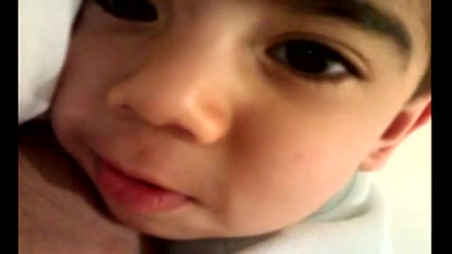 شیرین زبونی ارمیا