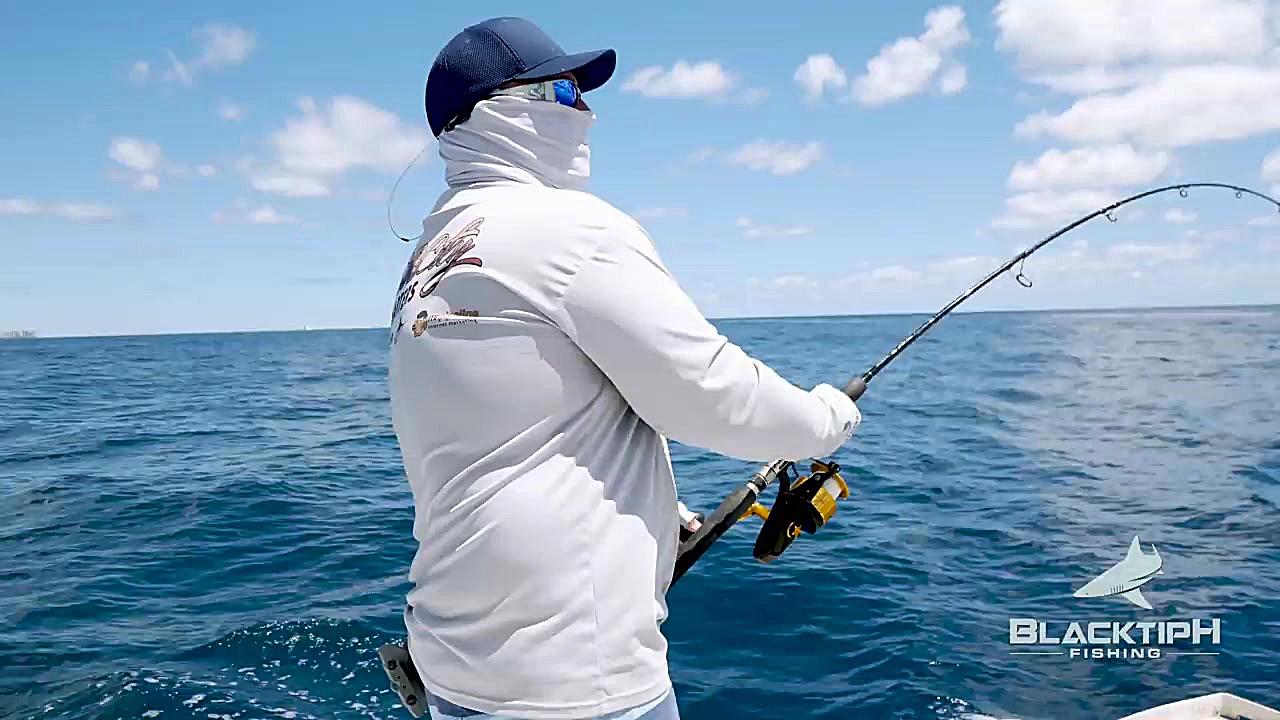 ماهی گیری Shark Attacks our Gi...