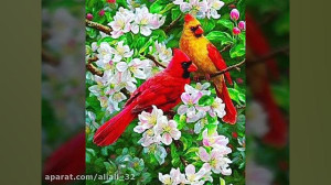 رادیو لحظه ها  استودیو صداهای...