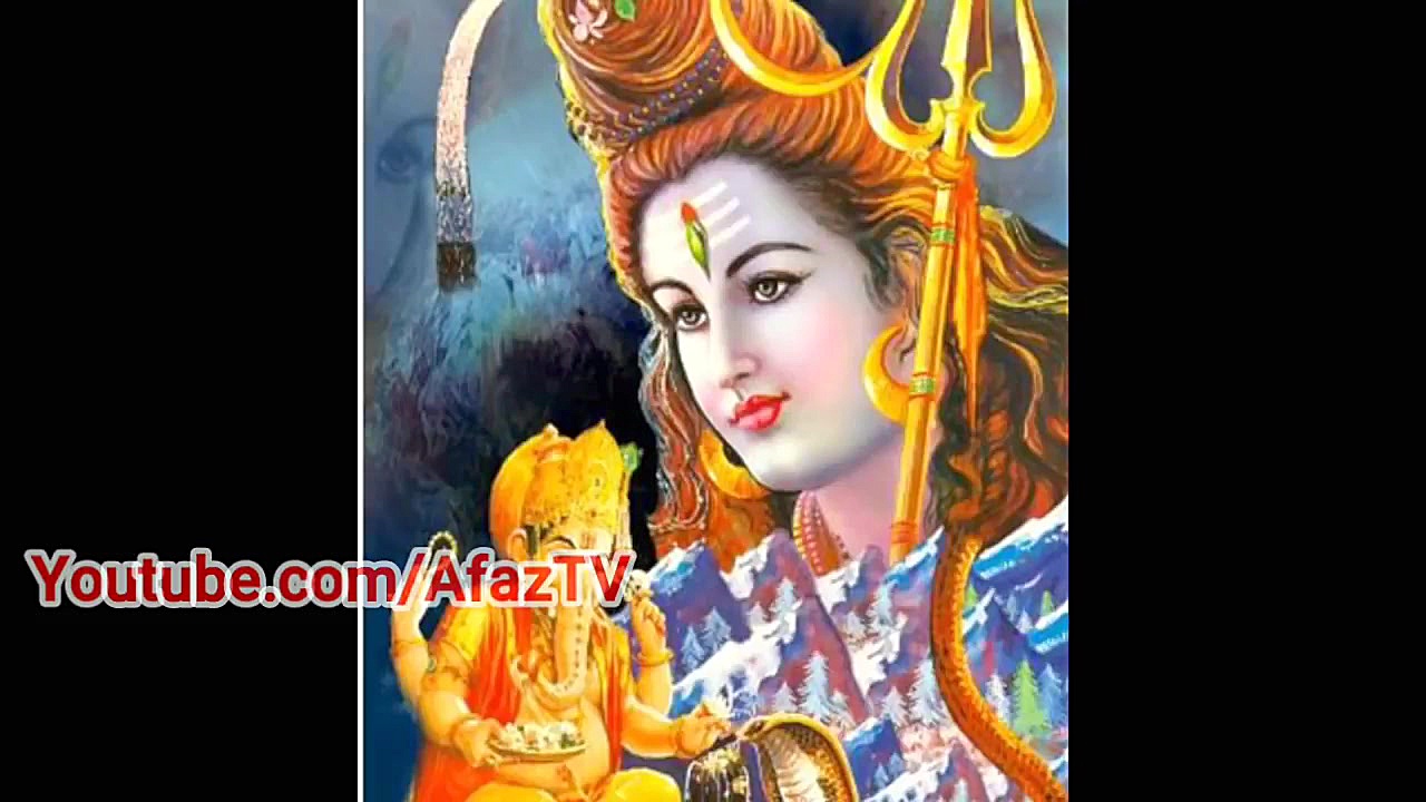 هرتیک روشن عاشق گربه ایرانی ؟