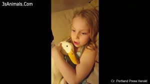 دوستی بامزه بچه ها و اردک ها