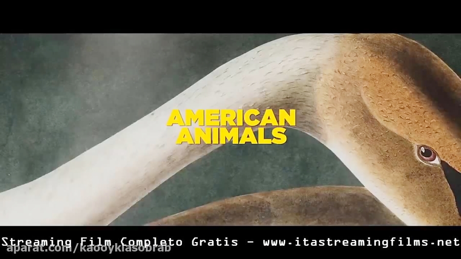 American Animals Streaming Film Completo Italiano Dub Gratis