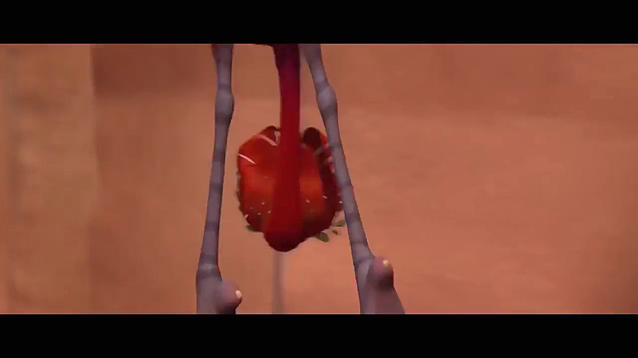 کارتون مرغ و تخم مرغ 1