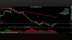 استراتژی قدرتمند شکارچی فارکس...