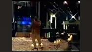 هفتمین جشن تولد شبکه سه  1