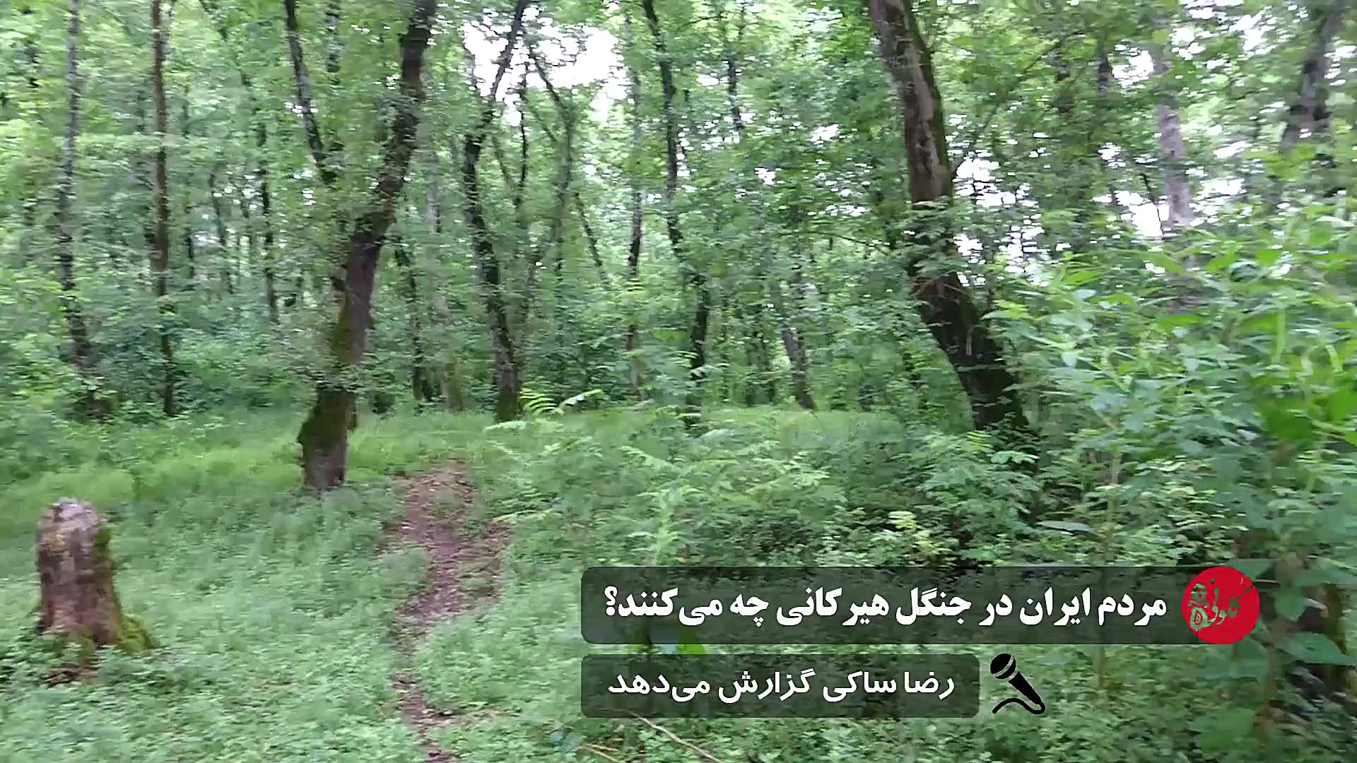 مردم ایران در جنگل&zwnj;های هی...