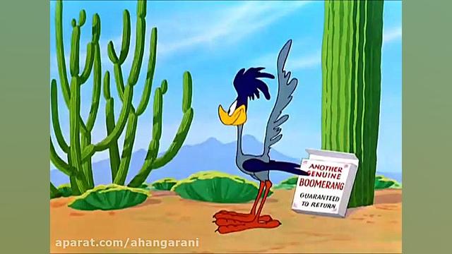 انیمیشن میگ میگ و کایوت