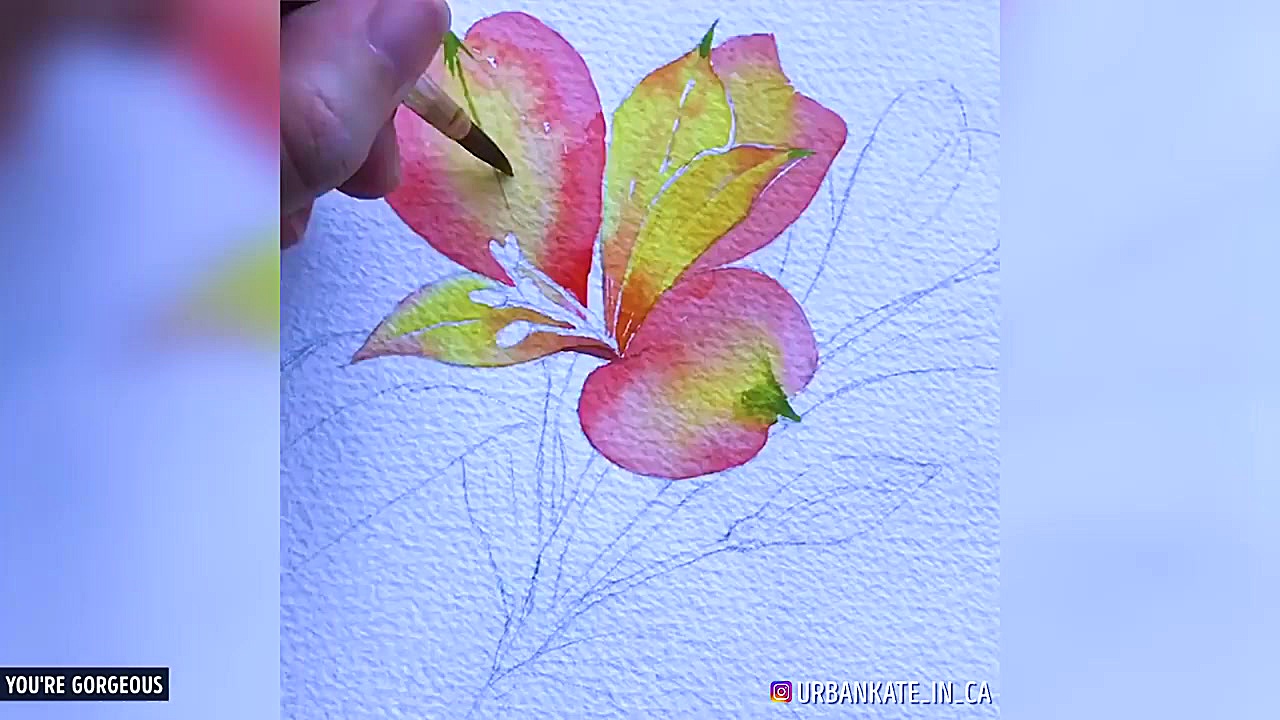 گلچین نقاشی گل با آبرنگ