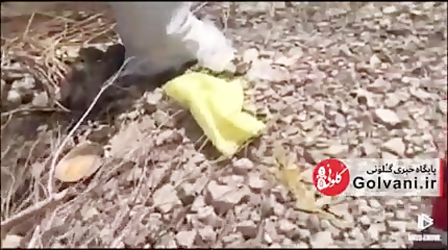 گردشگران در تعطیلات نیمه خرداد...