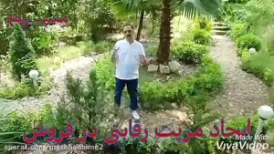 راز موفقیت در فروش