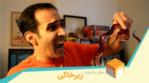 معرفی و آموزش بازی زیرخاکی