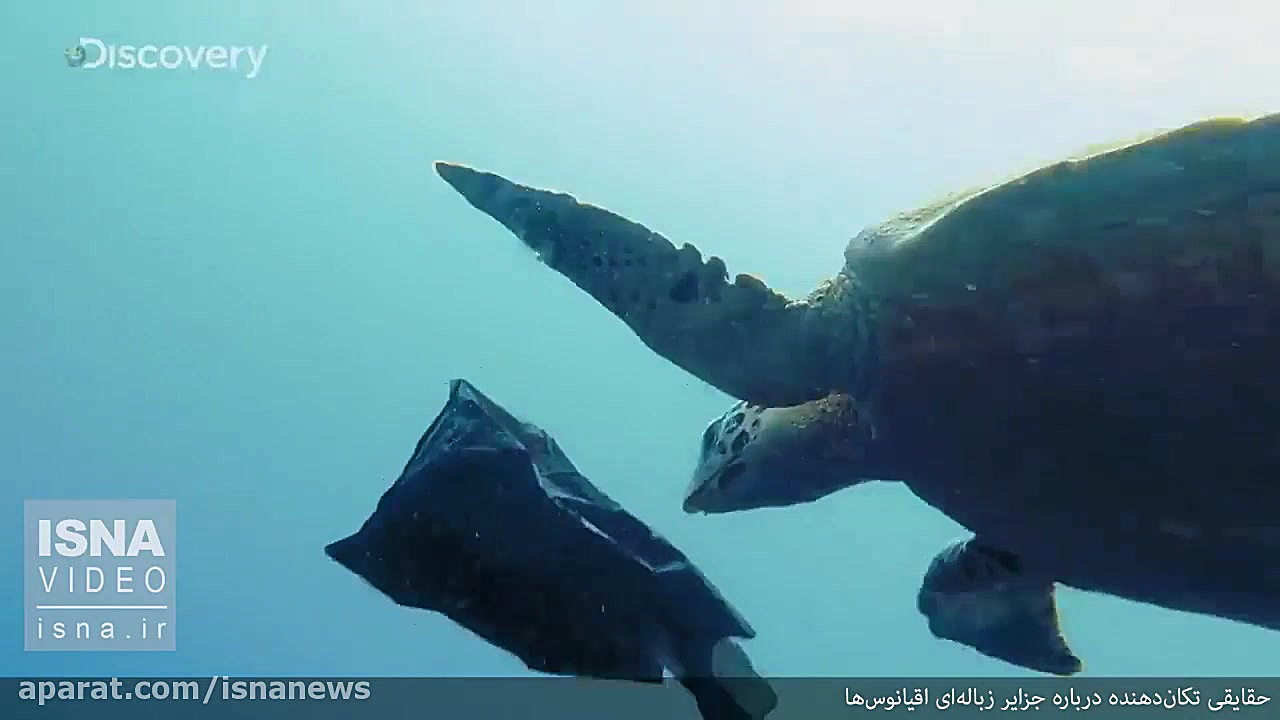 جزیره‌ای از زباله، وسط اقیانوس...