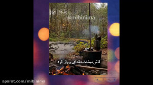 دکلمه شعر از دکتر انوشه