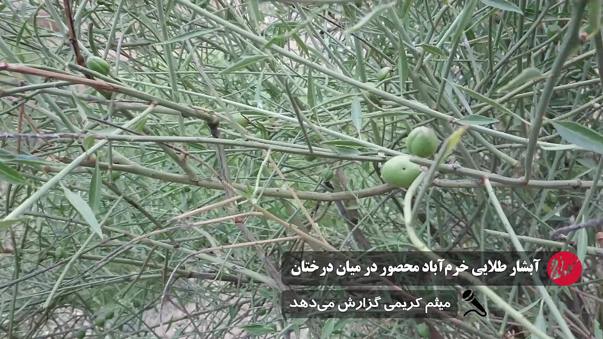 آبشار طلایی خرم آباد محصور در...