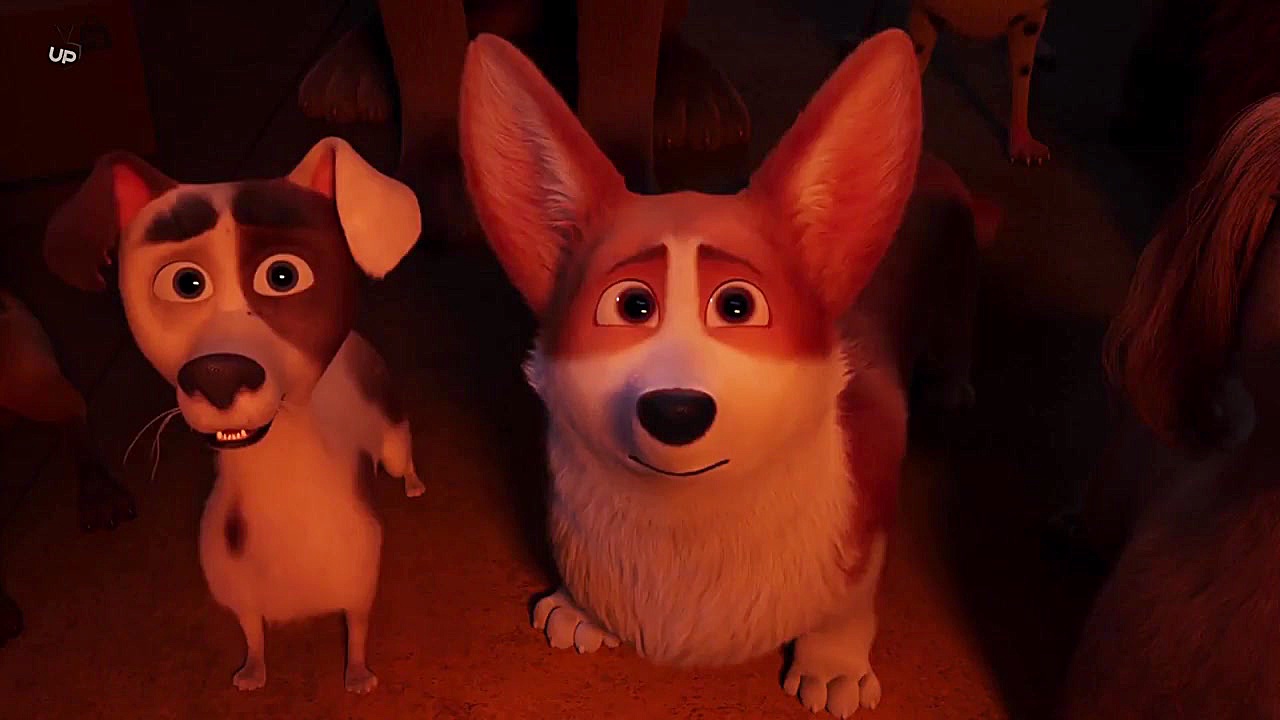 انیمیشن سینمایی سگ مورد علاقه ملکه 2019 Queens Corgi / دوبله فارسی / دنیای فیلم زمان5030ثانیه