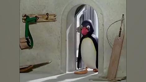 کارتون پینگو  قسمت 112