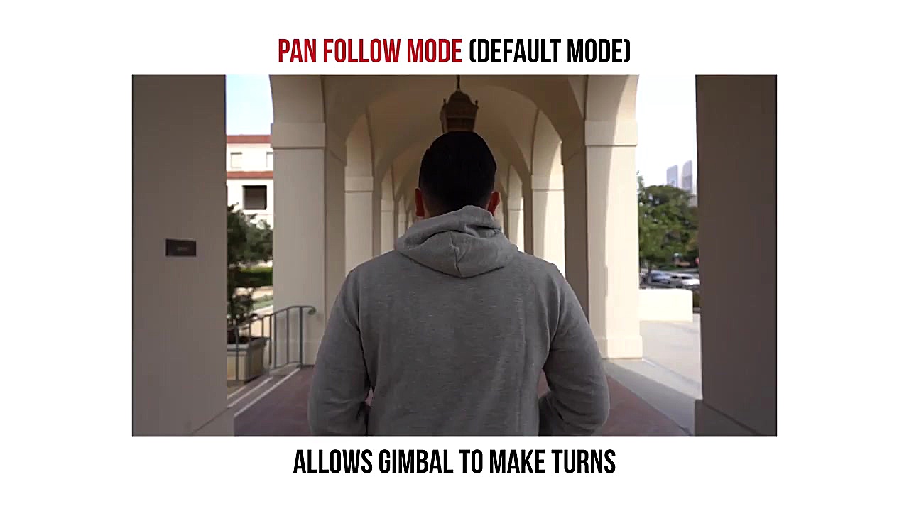 گیمبال ژیون کرین 2 (Crane 2)