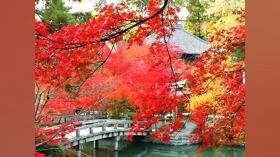 عبدالحسین مختاباد  شبانگاهان