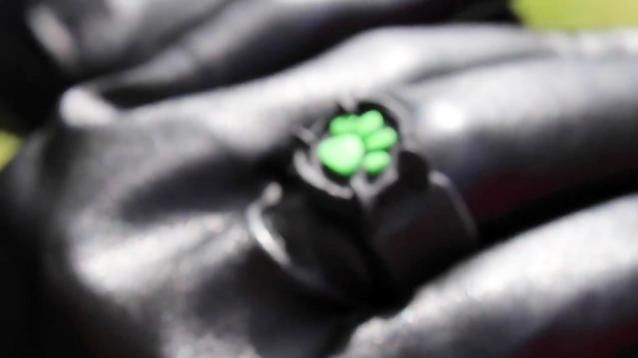 [Miraculous Ladybug] Masquerad...