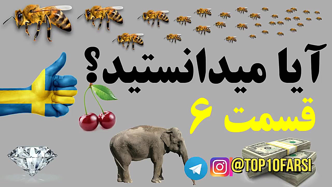 آیا میدانستید؟ دانستنی ها  قسم...