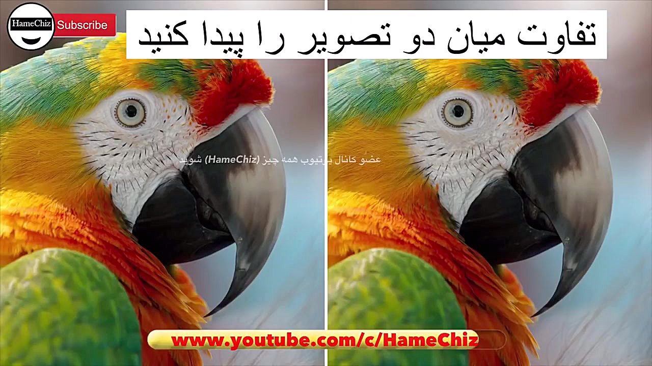 اگه فکر میکنی میتونی بیا تو!!!