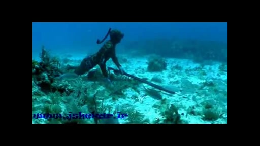 ماهی صید ماهی با تفنگ شکار جنو...