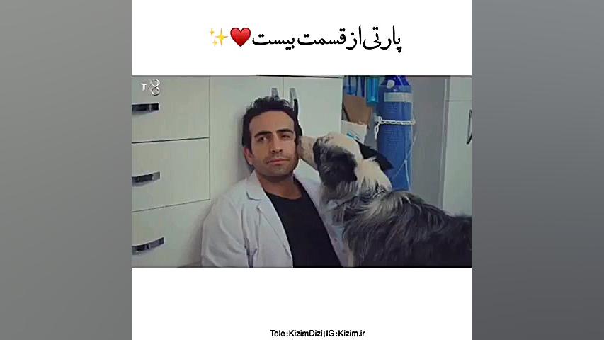 دمیر دامپزشک می شود نبینی به ف...