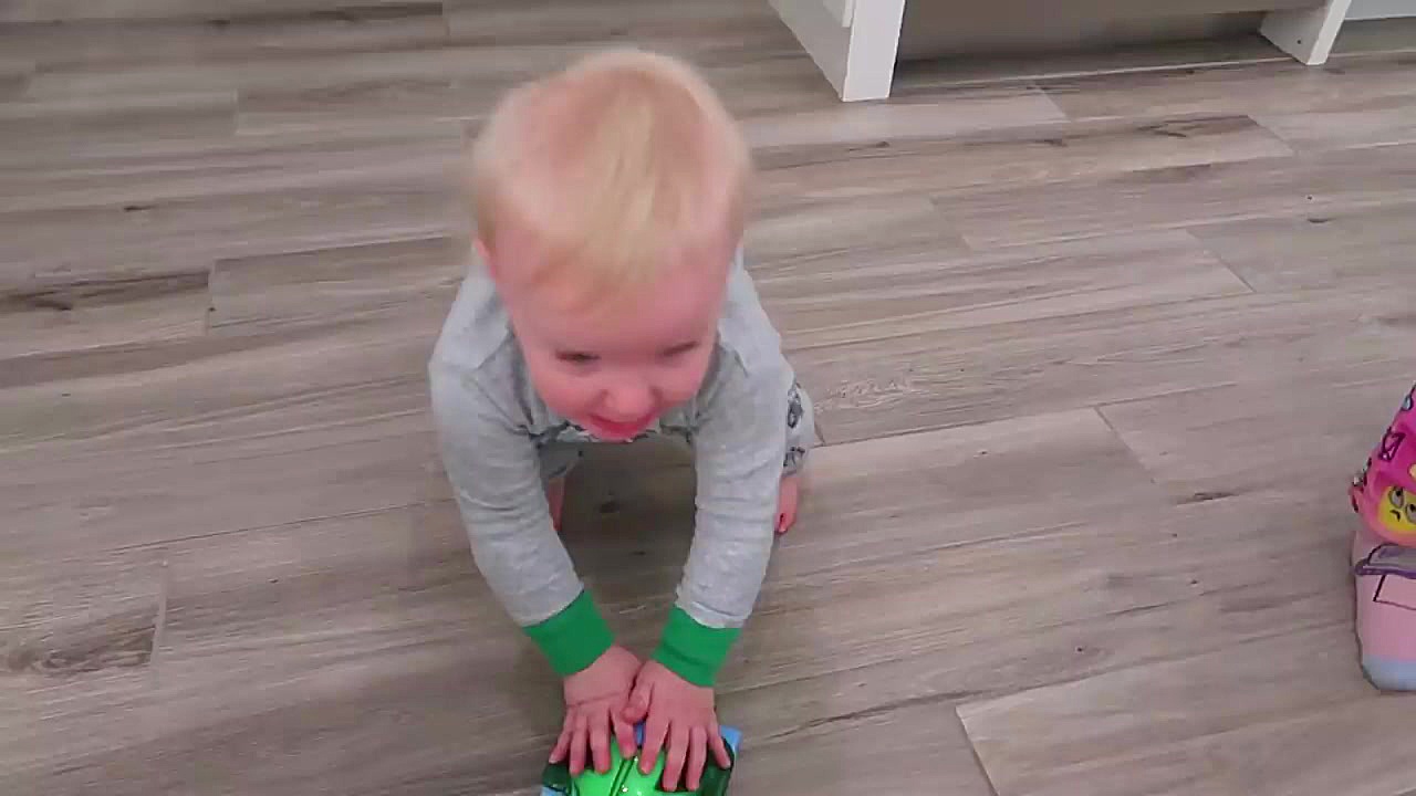 هایلی در جستجوی تخم مرغ های شگ...