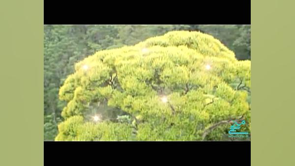 کلیپ بسیار زیبای برای امام مهد...