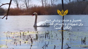 مهاجرت به کانادا: اطلاعات بیشت...