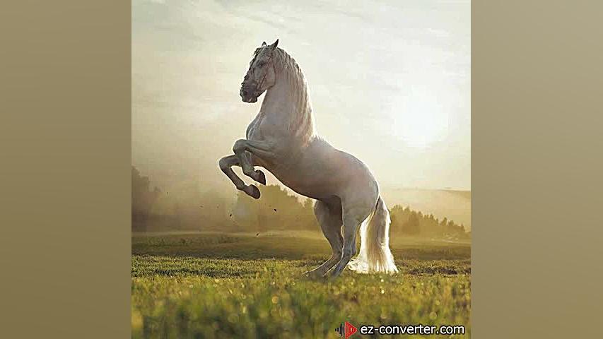 Mahan Moin Man Ba To ماهان معی...